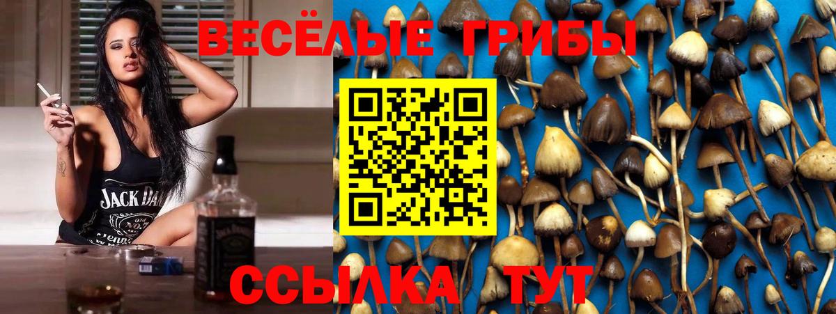 Галлюциногенные грибы Cubensis Выкса