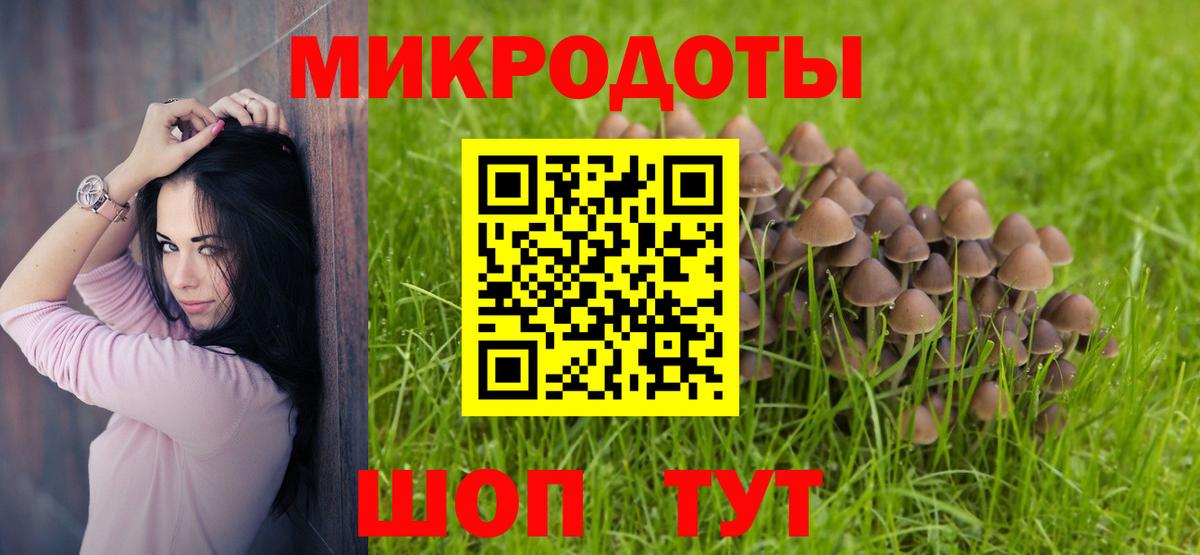 Псилоцибиновые грибы мицелий  Вход с VPN  Выкса  Галлюциногенные грибы GOLDEN TEACHER 