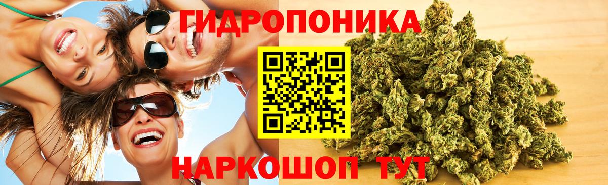 Бошки марихуана гибрид  Бошки марихуана планчик  Выкса  Вход с VPN 